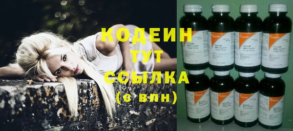 эйфоретик Аркадак